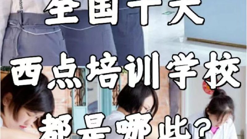 职业培训行业：2024年发展趋势洞察